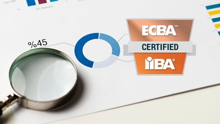 Entry Certificate in Business Analysis (ECBA) Practice Test - Free Udemy Course