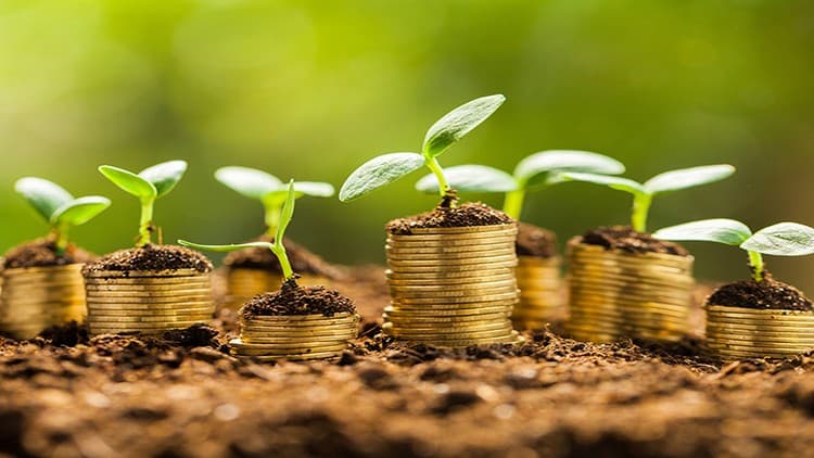 Abundance & Money Awareness – Consciousness and Energy Work - Free Udemy Course